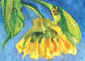 "Sunny Delight" by  Mary Lou Lindroth, Rockton IL - Watercolor 